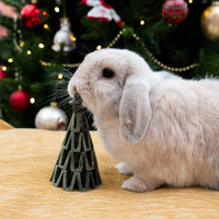 Rosewood - Cupid & Comet Veggie Burst 3D Christmas Tree