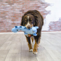 KONG - Dynos Roars Blue Dog Toy - Medium/Large
