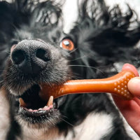 Miro & Makauri - Nubby Bone - 9cm