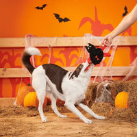 BARK - Halloween Blake Widow Dog Toy