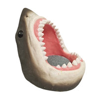 Betta - Shark's Mouth with Air Stone