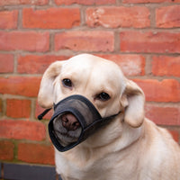 Ancol Pet Products - Nylon Mesh Muzzle
