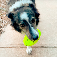 Kong - Reflex  Football - Med/Lge