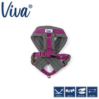 Ancol - Viva Padded Harness, Purple