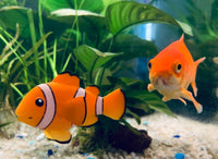 Tetra - Decoart Elements - Nemo Clownfish