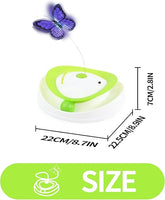 All For Paws - Interactive Roll Around Flutter Bug Toy