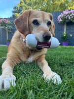 JR Pet Products - Wild Boar Pate - 400g