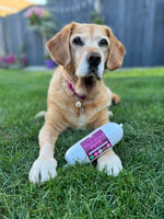 JR Pet Products - Wild Boar Pate - 400g