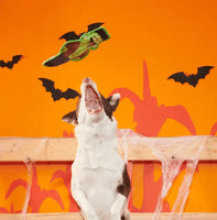 BARK - Halloween Frankenstein's Muttster Dog Toy