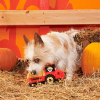 BARK - Halloween Oldest McDonald Dog Toy