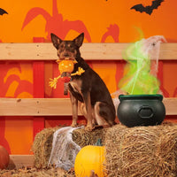 BARK - Halloween Jack-Crow-Lantern Dog Toy