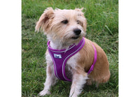 Ancol - Viva Comfort Dog Harness