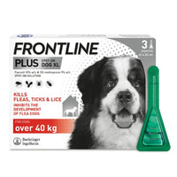 Frontline Plus Spot On XLarge Dog (40-60kg)