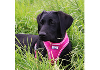 Ancol - Viva Comfort Dog Harness