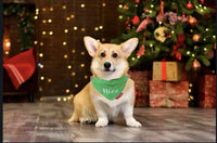 Pet Brands - Naughty or Nice Reversible Bandana