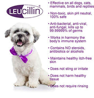 Leucillin - Anitseptic Skin Care Spray - 60ml