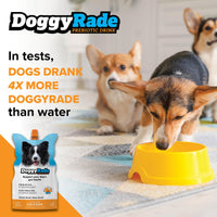 DoggyRade - Isotonic Drink for Pets, Chicken - 250ml