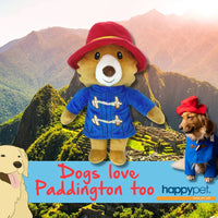 Happy Pet - Paddington Bear Dog Toy