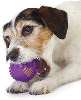 Petstages - Gummy Plush Hedgehog - Med