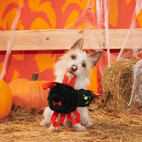 BARK - Halloween Blake Widow Dog Toy
