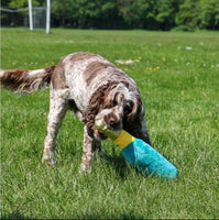 Ancol - Pawty Time Gifts Dog Toy - Pawty Champagne