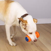 Pet Brands - Aastro Dog Shuttle Eva Tpr LED Stick Toy