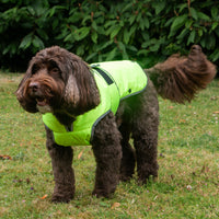 Ancol - Stormguard Dog Coat, Hi-Vis