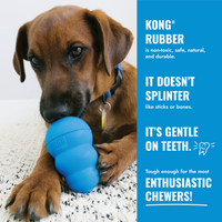 Kong - Puppy Goodie Bone With Rope - XSml