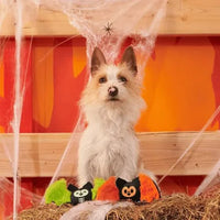 BARK - Halloween Flutter & Fang Dog Toy