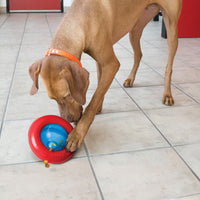Kong - Treat Gyro Ball - Large