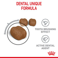 Royal Canin - Dental Care Cat Kibble