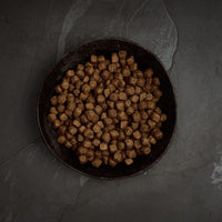 Canagan - Dental Dog Kibble, Turkey