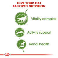 Royal Canin - Outdoor Cat +7 Kibble