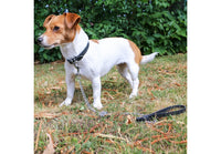 Ancol - Leather Chain Lead, Black