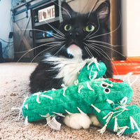 Mad Cat - Catty Cactus Kicker