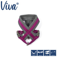 Ancol - Viva Padded Harness, Purple