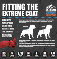 Ancol - Extreme Monsoon Dog Coat, Red