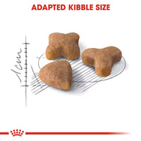 Royal Canin - Sensible Cat 33 Kibble