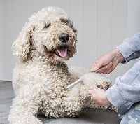 Mikki - Stainless Steel Comb & Hard Pin Slicker Brush