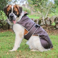 Ancol - Stormguard Dog Coat, Chocolate
