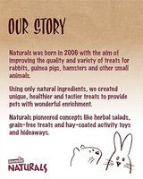 Rosewood - Naturals Hay N Treat Swing