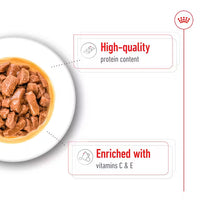 Royal Canin - Medium Adult Dog In Gravy Pouch, 140g
