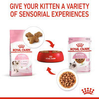 Royal Canin - Kitten 36 Kibble