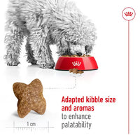 Royal Canin - Mini Adult Dog Kibble
