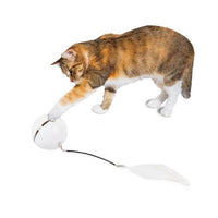 All For Paws - Interactives Rolling Laser Ball Cat Toy