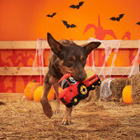 BARK - Halloween Oldest McDonald Dog Toy