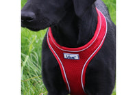 Ancol - Viva Comfort Dog Harness