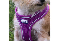Ancol - Viva Comfort Dog Harness