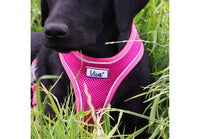 Ancol - Viva Comfort Dog Harness