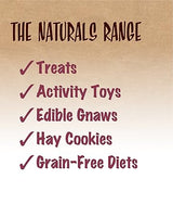 Rosewood - Naturals Hay N Treat Swing